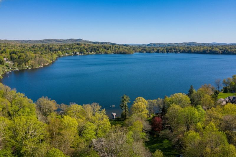 Hero for Home Services Options